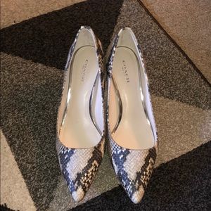 Snakeprint Coach Heels